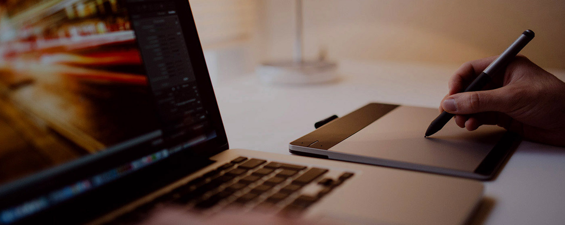 查阅我的进化笔记